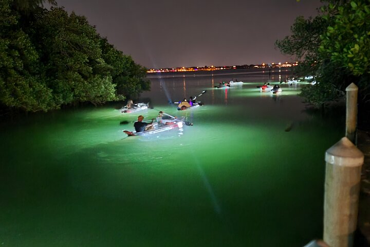 Hoteller i nærheden af Sarasota - Clear Kayak LED Night Glass Bottom Tour