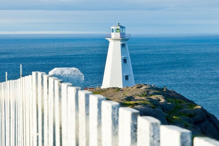 Tour Premium de San Juan con avistamiento de ballenas y crucero por el iceberg