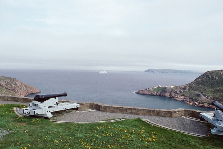 Tour Premium de San Juan con avistamiento de ballenas y crucero por el iceberg