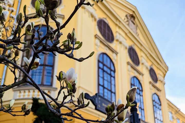 Halbtägiger privater Essens- und Wein-Rundgang Oradea Rumänien