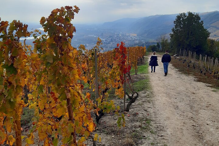 Geführte Besichtigung und Weinprobe Nördliches Rhône-Tal