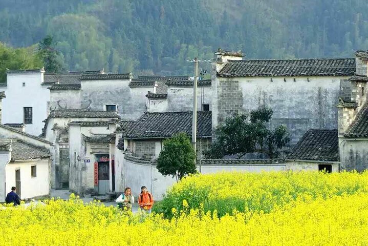 2-Tages-Tour Private Huangshan Yellow Mountain Tour ab Shanghai
