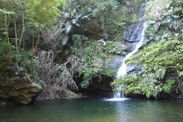 Okinawa Jungle Trails & Watervallen – Privétour door Yanbaru