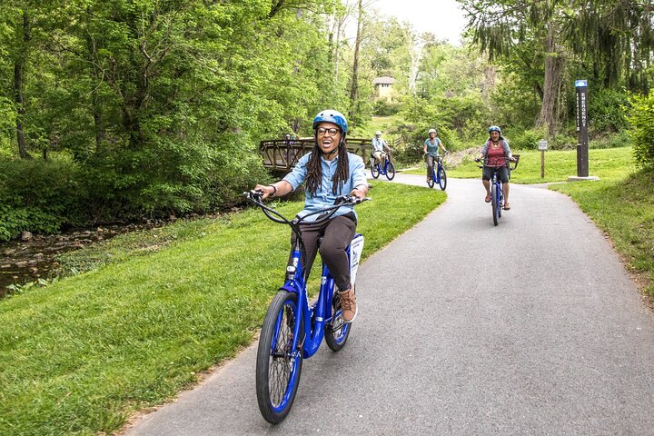 Asheville Historic Downtown guidet elcykeltur med naturskøn udsigt