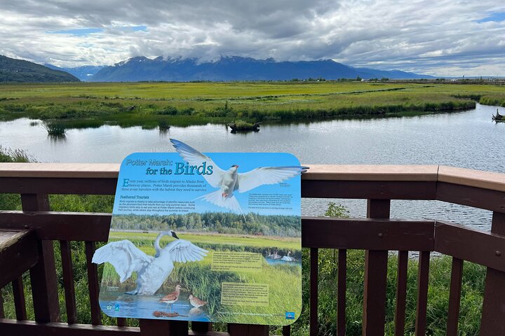 Trasferimento in crociera Whittier con tour Wildlife&Glacier ad Anchorage