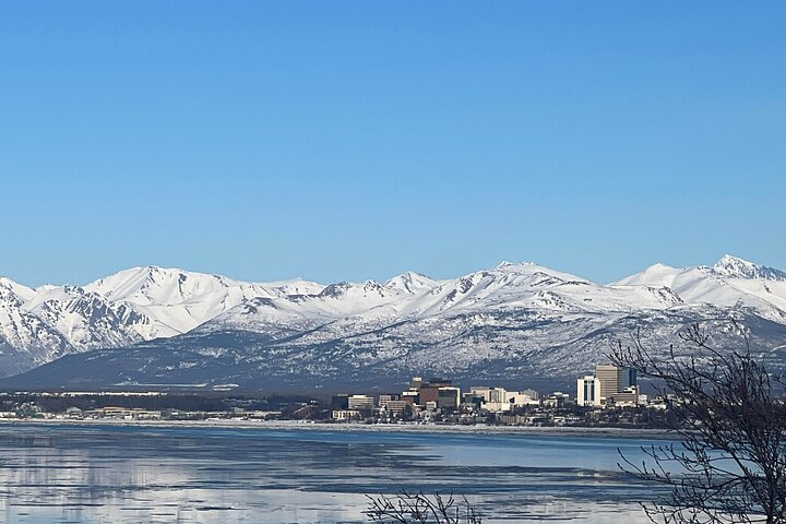 Trasferimento in crociera Whittier con tour Wildlife&Glacier ad Anchorage