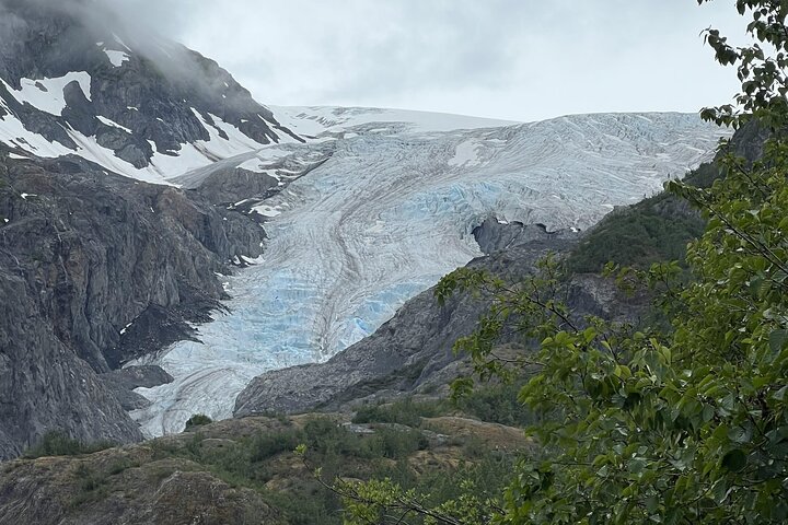 Seward kryssning Transfer med vilda djur och natursköna Tour till Anchorage