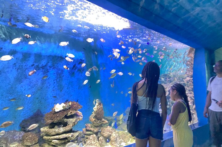 VIP-Privattour durch Nha Trang – der beste Ausflug nach Nha Trang