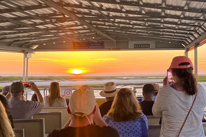 Croisière sur la faune au coucher du soleil le long d'Assateague et de l'île de Chincoteague