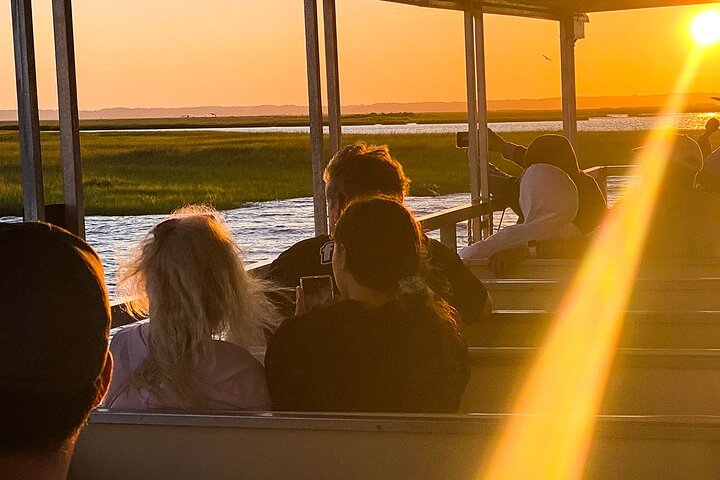 Croisière sur la faune au coucher du soleil le long d'Assateague et de l'île de Chincoteague