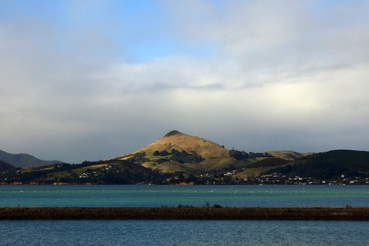 Heritage City og Larnach Castle Van-tur med historisk guide