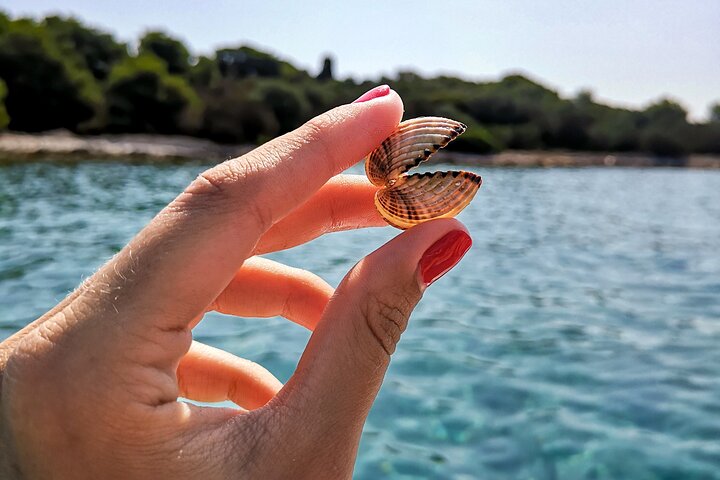 Passeio de barco privado nadar e relaxar em cristal azul Šibenik meio dia