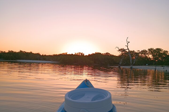 Esperienza in kayak nelle mangrovie dell'isola di Holbox