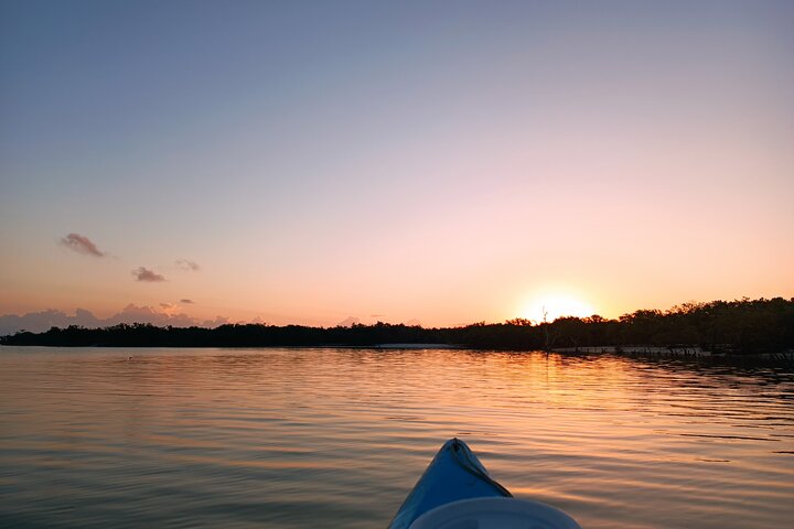 Esperienza in kayak nelle mangrovie dell'isola di Holbox