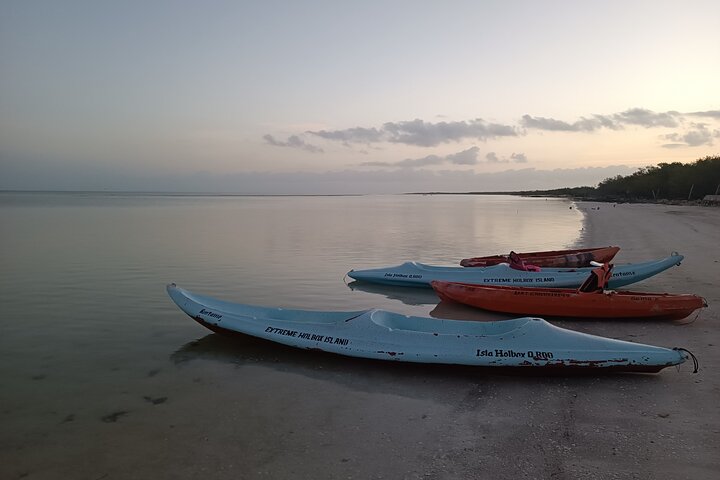 Esperienza in kayak nelle mangrovie dell'isola di Holbox