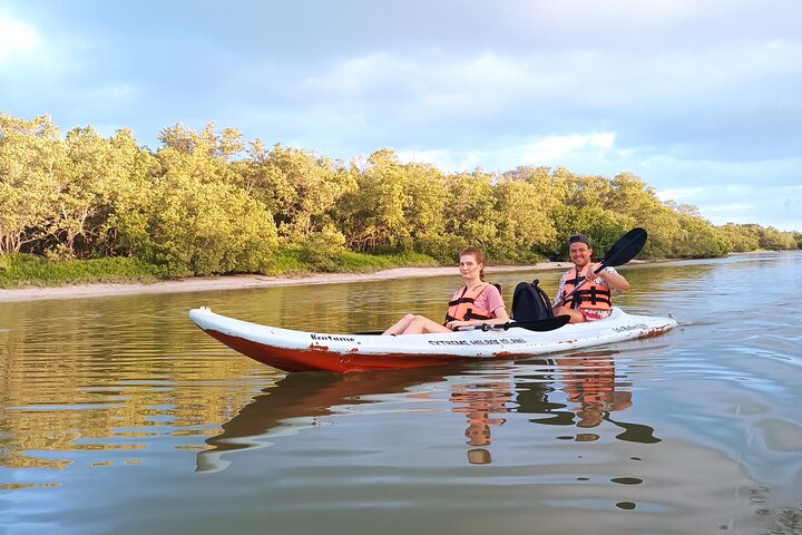 Esperienza in kayak nelle mangrovie dell'isola di Holbox