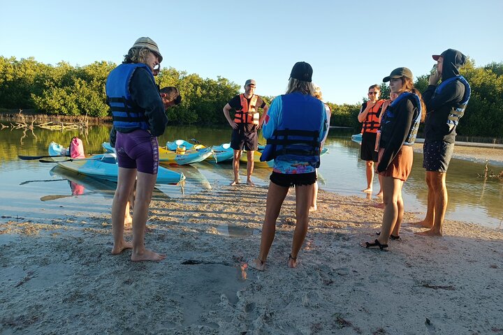 Esperienza in kayak nelle mangrovie dell'isola di Holbox