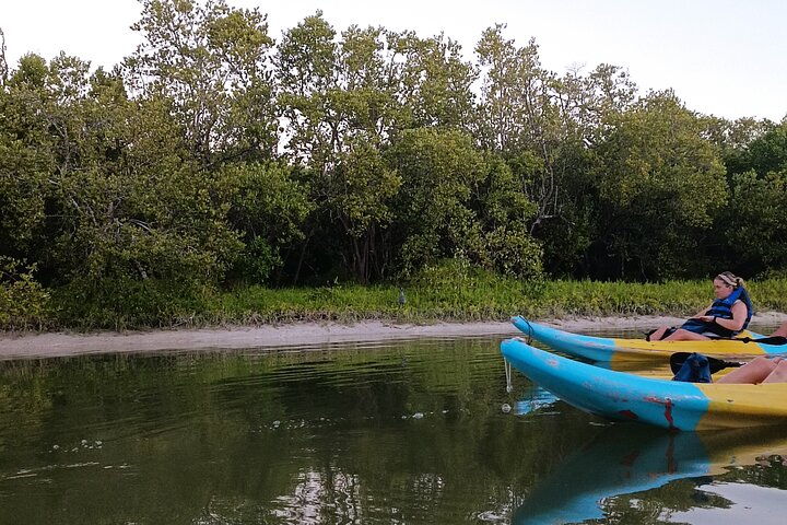 Esperienza in kayak nelle mangrovie dell'isola di Holbox