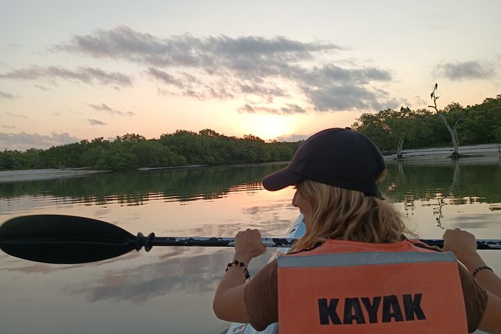 Esperienza in kayak nelle mangrovie dell'isola di Holbox