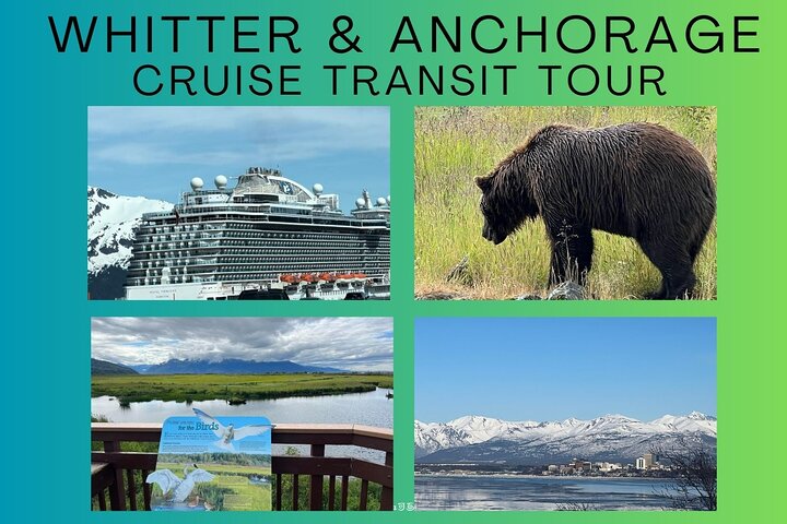 Trasferimento in crociera Whittier con tour Wildlife&Glacier ad Anchorage