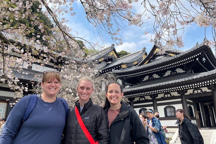 Kamakura Private Tour: Templer, natur og den store Buddha