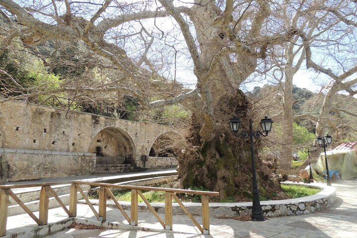 Altopiano di Cnosso e Lasithi: Grotta di Zeus, villaggi, tour dell'olio d'oliva