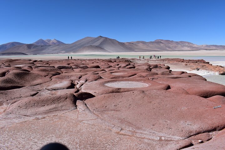 Tour di un'intera giornata Piedras Rojas Lagune Altiplaniche Laguna di Chaxa