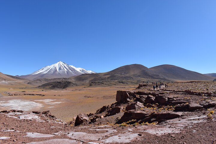Tour di un'intera giornata Piedras Rojas Lagune Altiplaniche Laguna di Chaxa