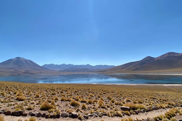 Tour di un'intera giornata Piedras Rojas Lagune Altiplaniche Laguna di Chaxa