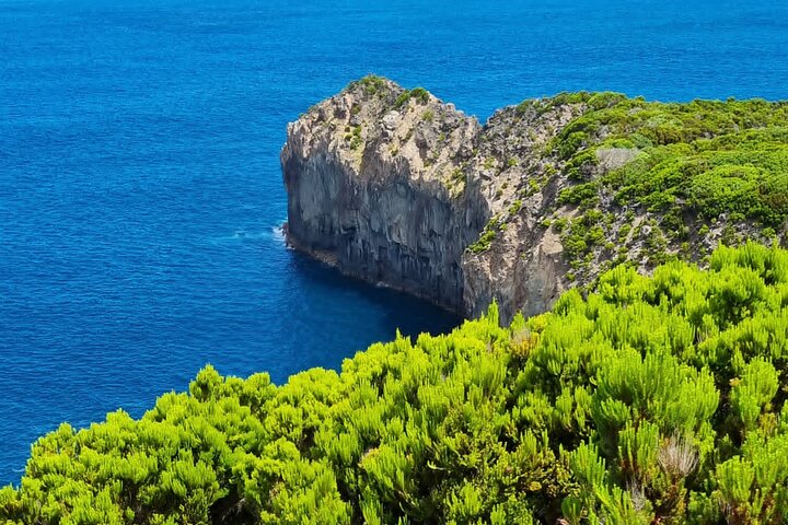 Wandeling 3 uur Kust van het eiland Terceira