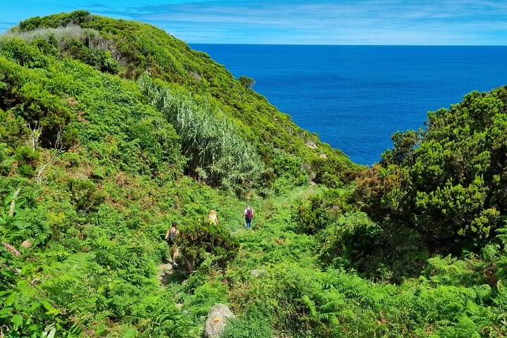 Wandeling 3 uur Kust van het eiland Terceira