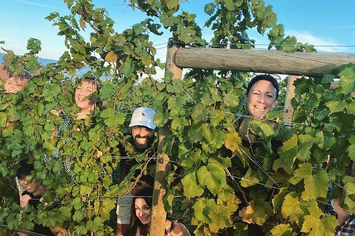 West Kelowna con Guida turistica del vino, Cherry! Tour pomeridiani.