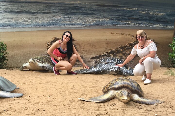 Private tours in Vitória, Brazil
