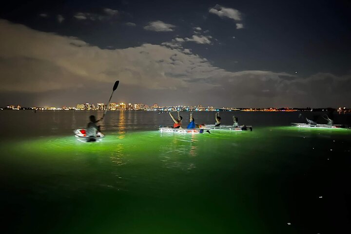 Hoteller i nærheden af Sarasota - Clear Kayak LED Night Glass Bottom Tour