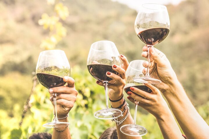 Tour culturale privato del vino di un'intera giornata nella storica Itaca