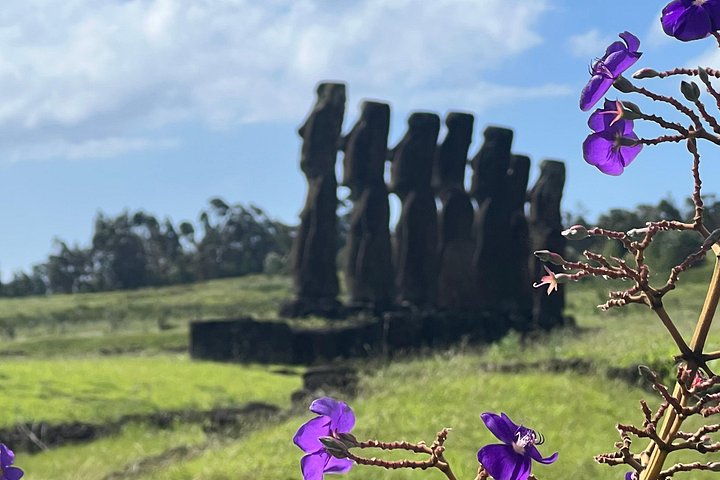 T3+T4-SITES ARCHÉOLOGIQUES RAPA NUI (visiteurs non croisiéristes)