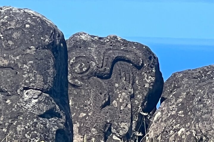 T3+T4-SITES ARCHÉOLOGIQUES RAPA NUI (visiteurs non croisiéristes)