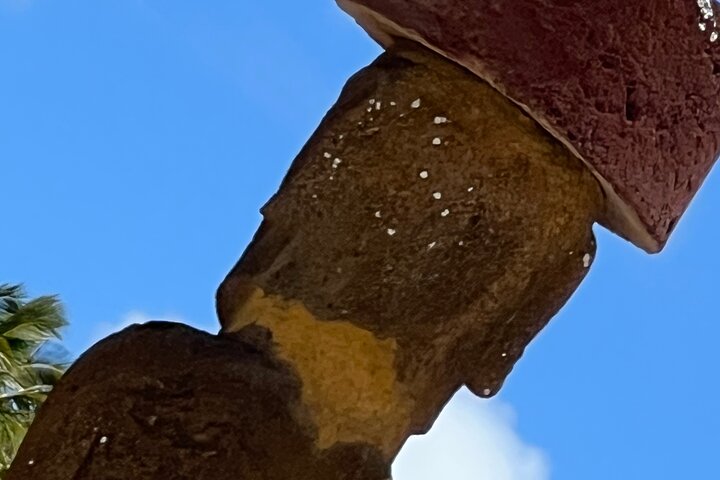 T3+T4-SITES ARCHÉOLOGIQUES RAPA NUI (visiteurs non croisiéristes)