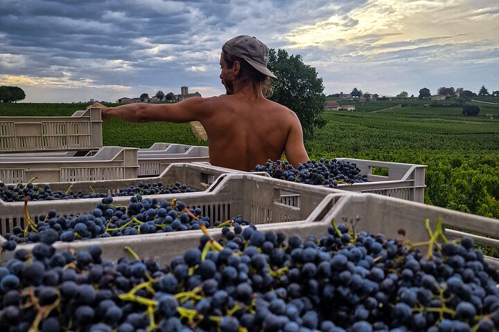 Saint-Émilion Wine Tour por bicicleta elétrica premium, almoço incluído