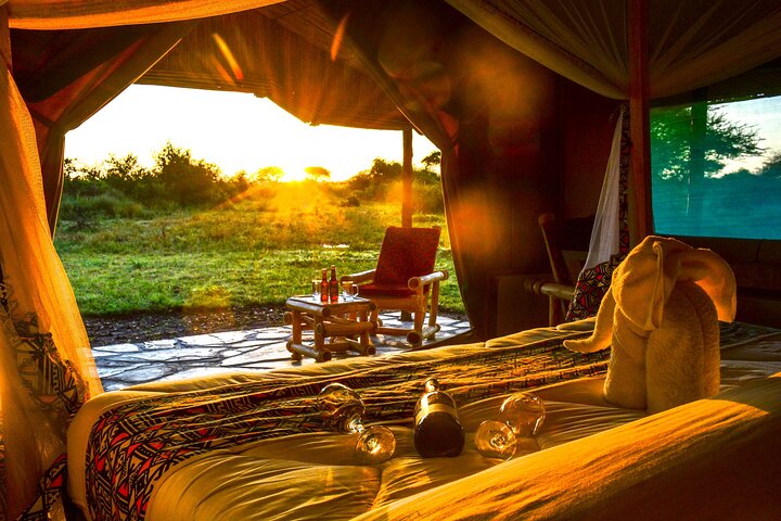 Da Arusha: 11 Giorni famoso Serengeti Inside out safari viaggio