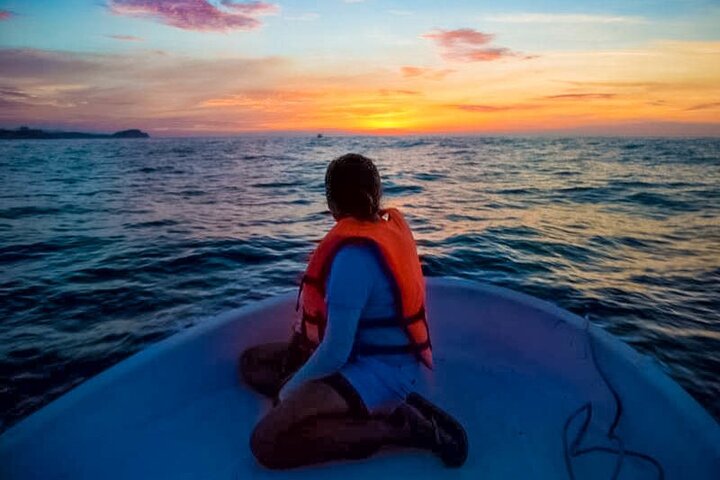 Soluppgång och delfinskådning i Puerto Escondido!