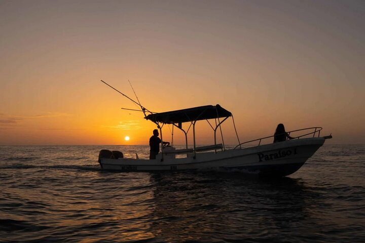 Soluppgång och delfinskådning i Puerto Escondido!