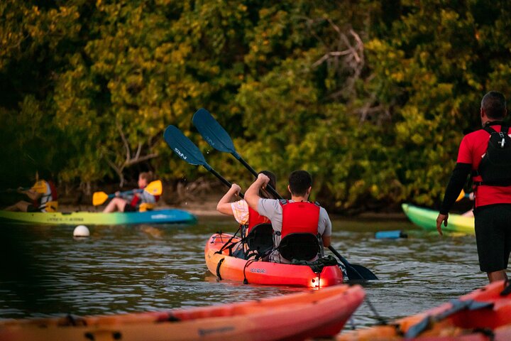 To-i-én-dagstur: El Yunque og Bio Bay-tur med transport