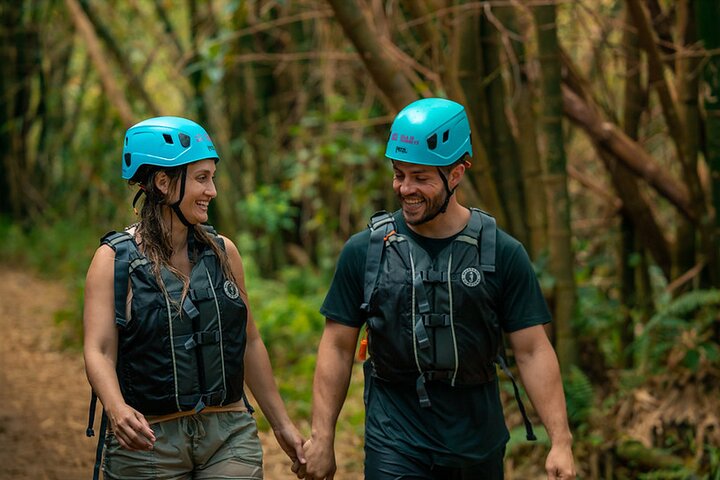 To-i-én-dagstur: El Yunque og Bio Bay-tur med transport