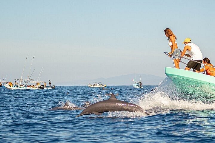 Soluppgång och delfinskådning i Puerto Escondido!