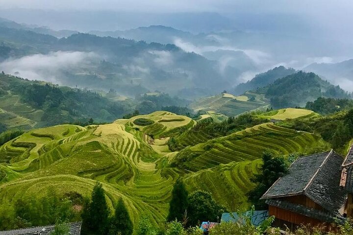 Private Tour-Yangshuo Seven Fairies Peak tea plantation and Xianggong hill