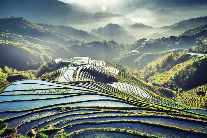 Private Tour-Yangshuo Seven Fairies Peak tea plantation and Xianggong hill