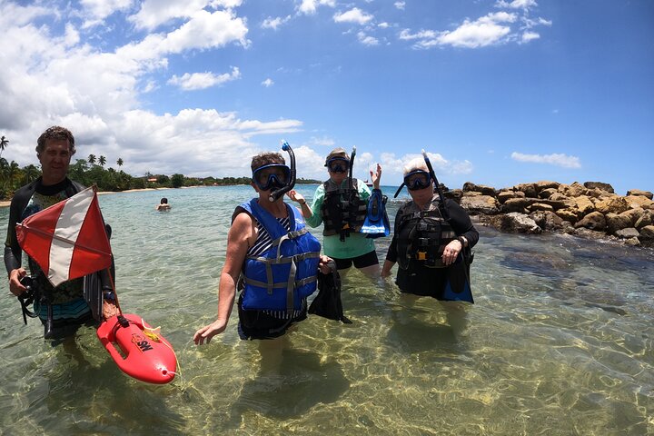 Aventura de mergulho com snorkel em recifes de coral com fotos e vídeos