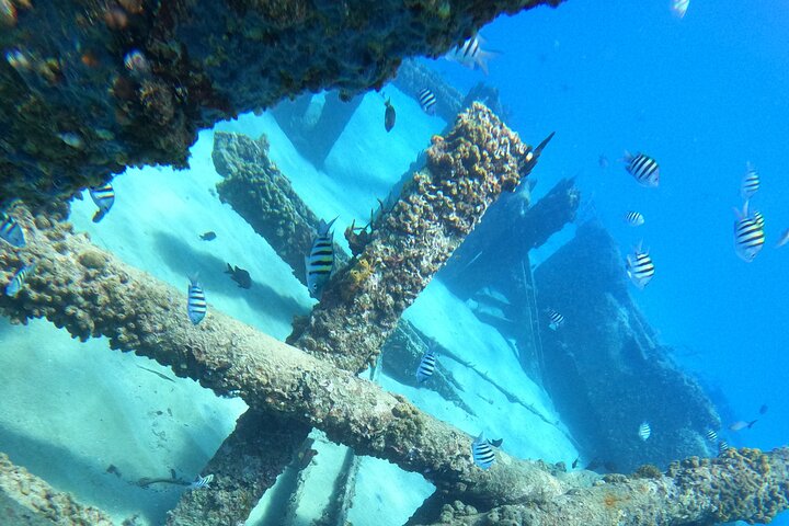 Aventura de mergulho com snorkel em recifes de coral com fotos e vídeos