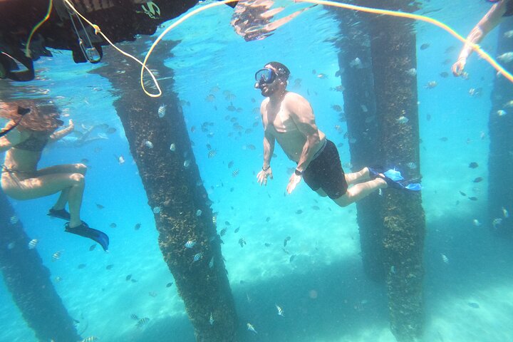 Aventura de mergulho com snorkel em recifes de coral com fotos e vídeos
